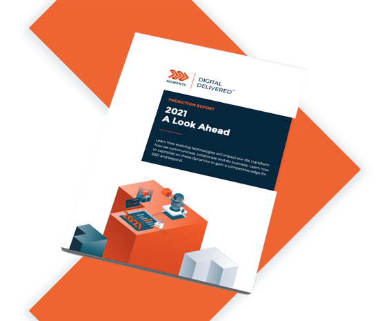 Momenta-2021-prediction-report